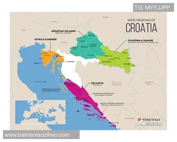 足球谁去的背后故事与未来发展趋势分析